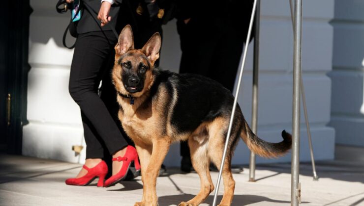 Biden’ın köpeği “Commander” bir Gizli Servis personelini daha ısırdı