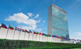 BM’ye adil temsil ve işlevsellik için reform çağrısı