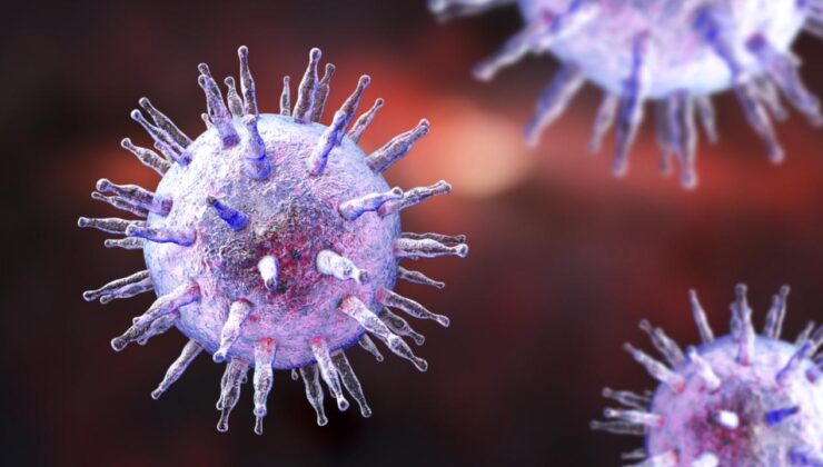 MS’e neden olan virüse karşı ilk aşı geliştiriliyor: Beyin iltihabını engelleyecek