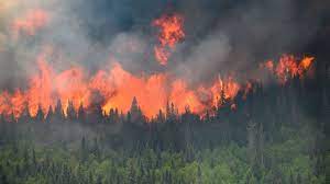 Kanada’da 800’e yakın orman yangını halen kontrol altına alınamadı