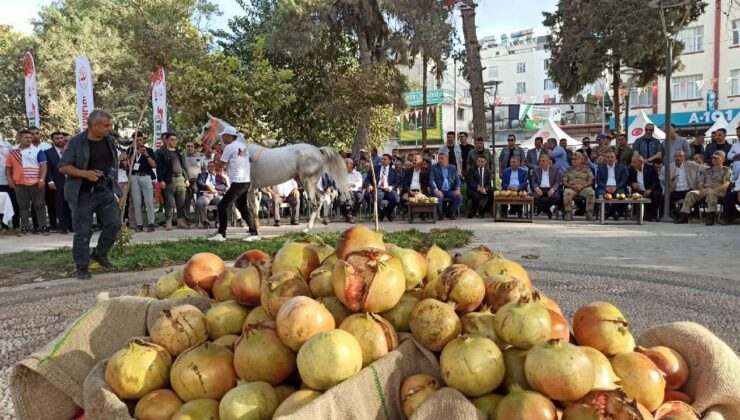 “Suruç 4. Nar Festivali” başladı