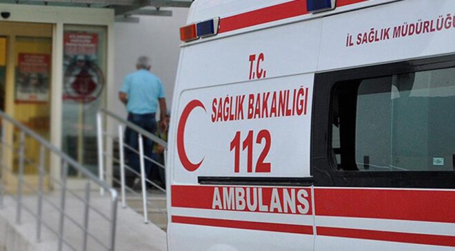 Bursa’da sokak köpekleri 2 çocuğu hastanelik etti