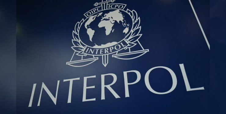 Interpol, internet üzerinden işlenen yeni suçlar konusunda uyardı