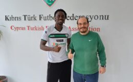 Yeşilova yabacısını buldu