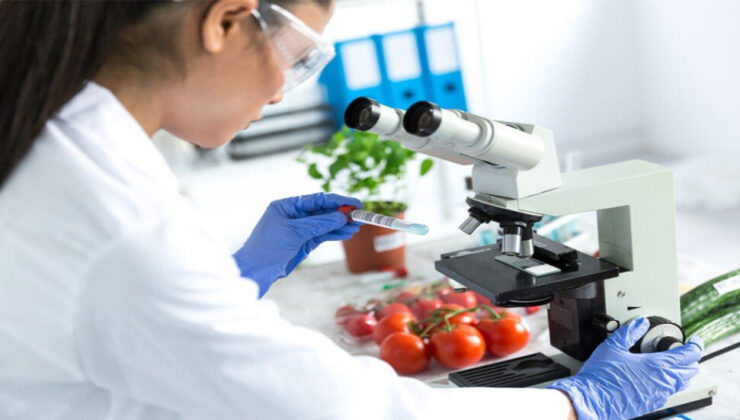 Yerli domateste limit üstü bitki koruma ürünü, yerli maydanozda ise tavsiye dışı bitki koruma ürünü tespit edildi