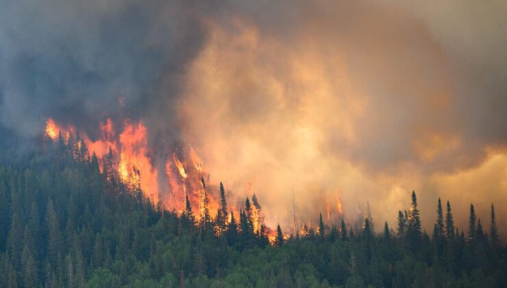Kanada’da orman yangını: 3 binden fazla kişiye tahliye emri