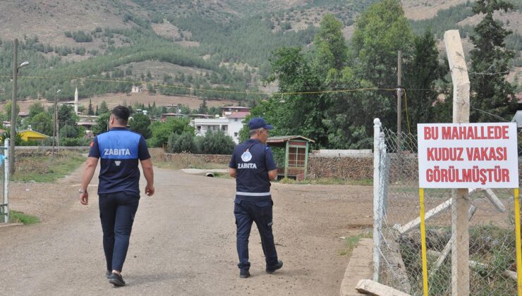 Gaziantep’te kuduz vakası: İki mahalle karantinada