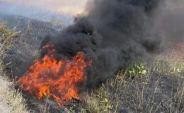Şırnak’ta tarım arazisinde yangın