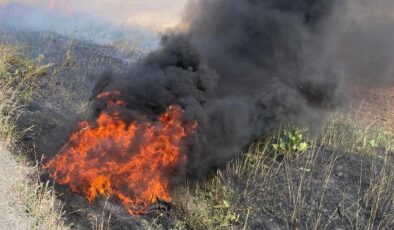 Şırnak’ta tarım arazisinde yangın