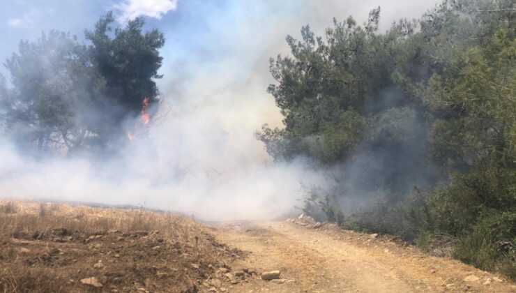 Adana’da ormanlık alanda yangın çıktı