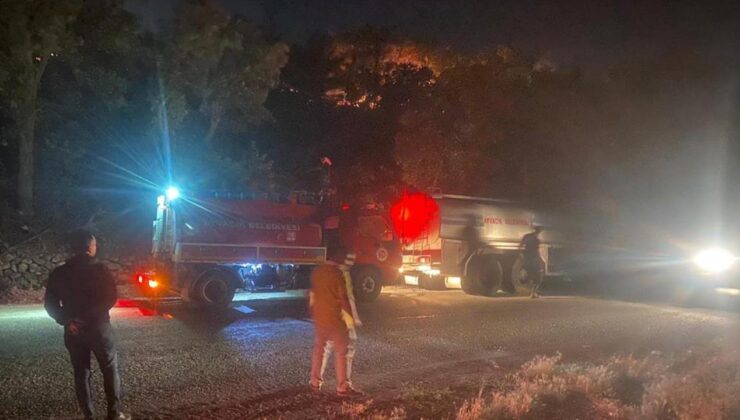 Çanakkale’de orman yangını: 1 köy tahliye edildi