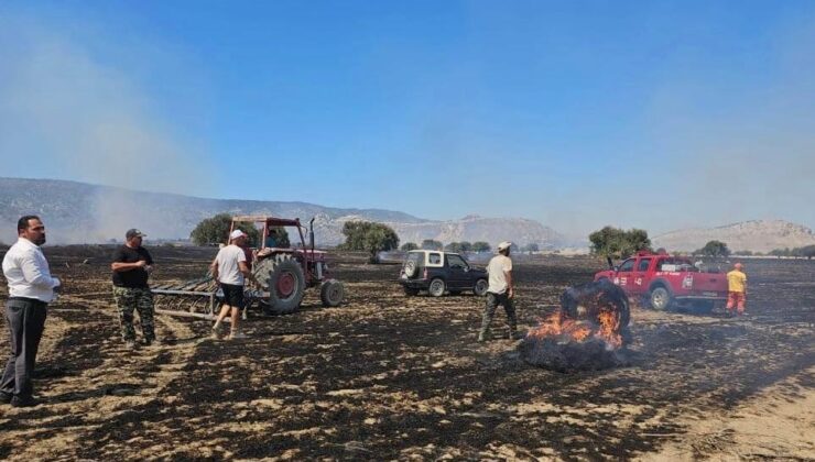 Çınarlı bölgesindeki yangında ağaçlar, biçilmemiş arpa, buğday, balya ve anızlar yandı