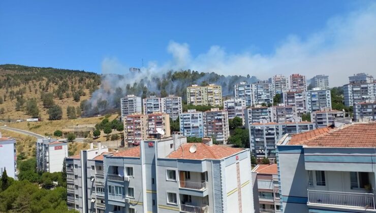 İzmir’de orman yangını