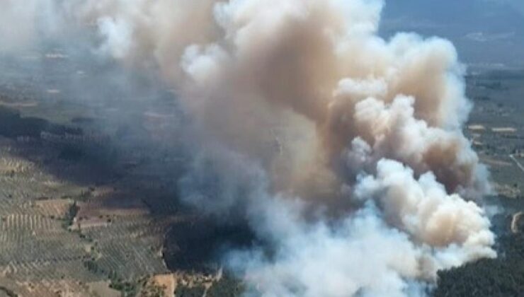 Manisa ve İzmir’de çıkan orman yangınlarına müdahale ediliyor