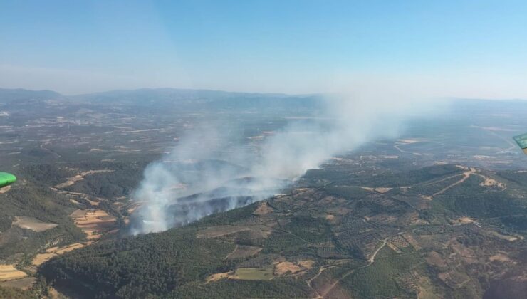 İzmir’in Bergama ilçesinde çıkan orman yangını kontrol altında