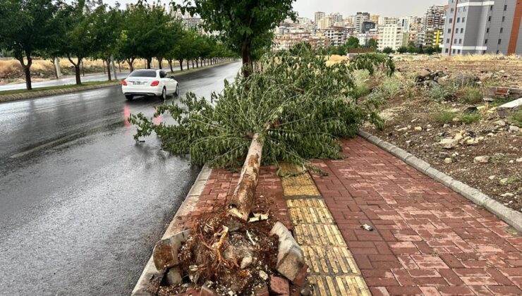 Şanlıurfa’da fırtına ve yağmur etkili oldu