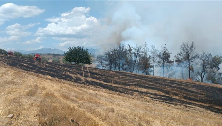 Adana ve İzmir’de çıkan orman yangınlarına müdahale ediliyor