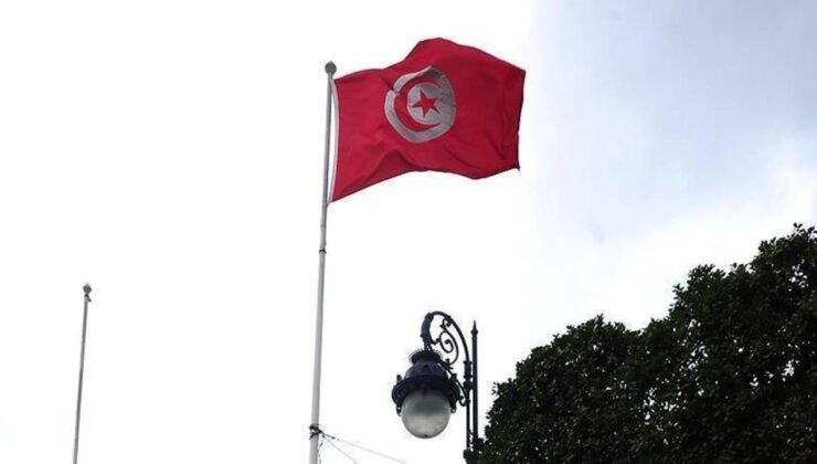 Tunuslu sanatçı Boşnak, BM İyi Niyet Elçisi unvanından vazgeçme kararını değerlendirdi