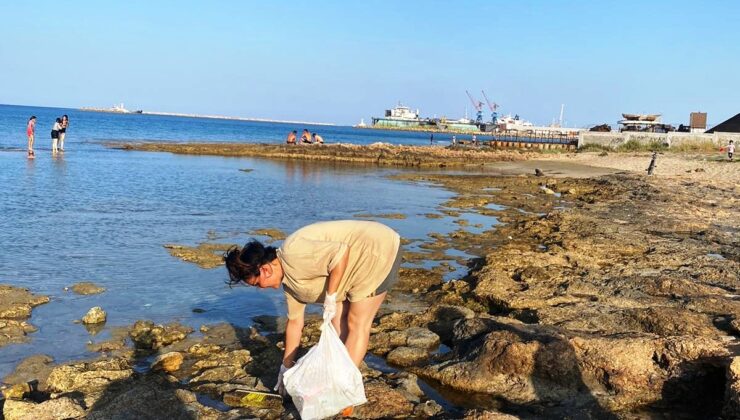 Beş bölgede sahil temizliği yapılıyor