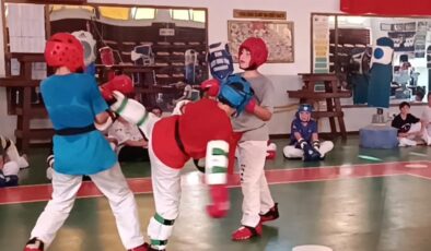 Sinan Erdem Kupası Taekwondo Şampiyonası
