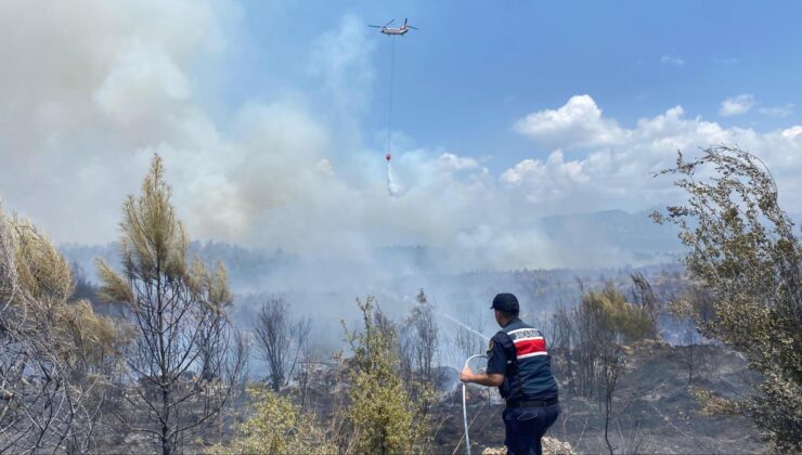 Antalya’da orman yangını