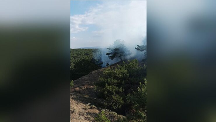 Çorum’da ormanlık alanda yangın