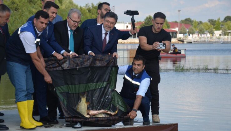 Bakan Yumaklı, Pelitözü Göleti’ne 200 adet sazan balığı salımı gerçekleştirdi