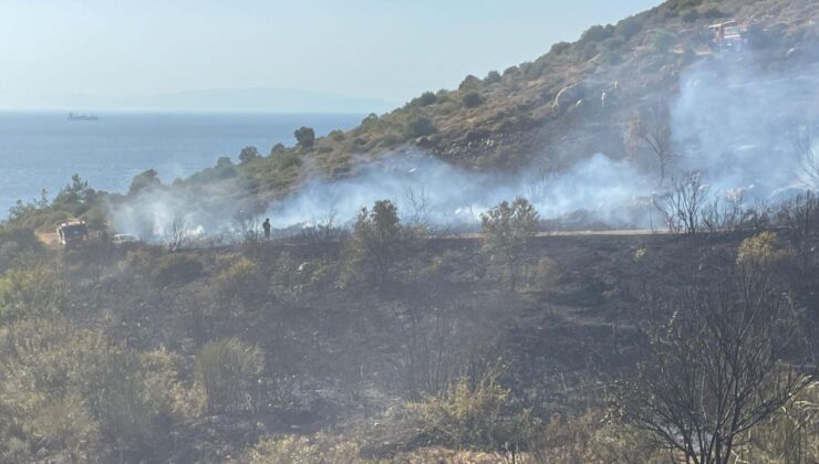 İzmir’de otomobilde çıkan yangın makilik alana sıçradı