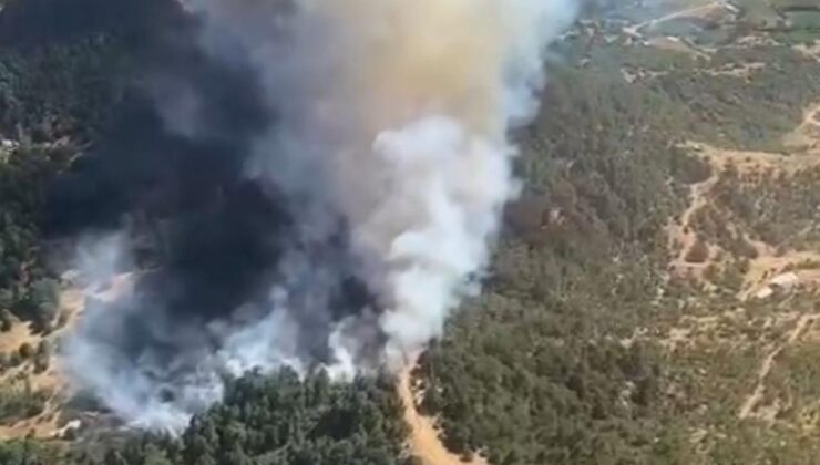 İzmir’de orman yangını