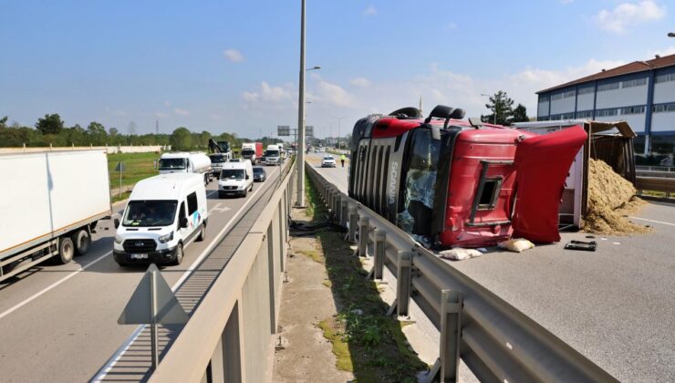 Arı sokması kazaya neden oldu: Devrilen tır 50 metre sürüklendi