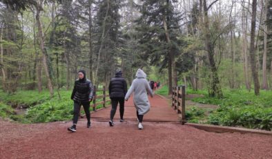 Tarım ve Orman Bakanlığı’ndan “Belgrad Ormanı” açıklaması