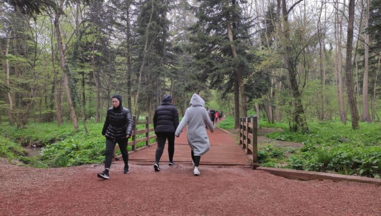 Tarım ve Orman Bakanlığı’ndan “Belgrad Ormanı” açıklaması