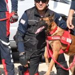 KARK'ın arama kurtarma köpeği Sebil, Tekirdağ’da bir enkaz çalışmasına katıldı
