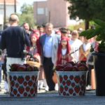 15. Geleneksel Yeşilırmak Çilek Festivali bugün düzenlenen törenle başladı